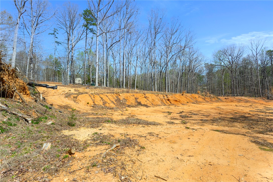 605 Elizabeth (lot 2) Road Westminster, SC 29693 - Photo 3 of 12
