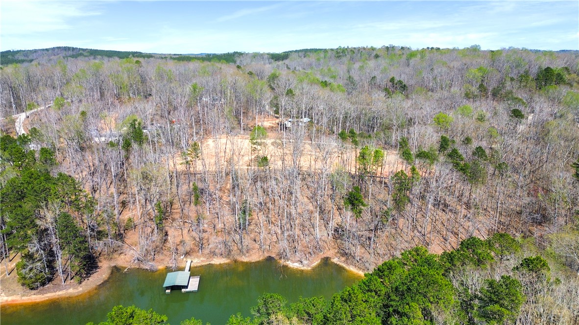 605 Elizabeth (lot 2) Road Westminster, SC 29693 - Photo 4 of 12