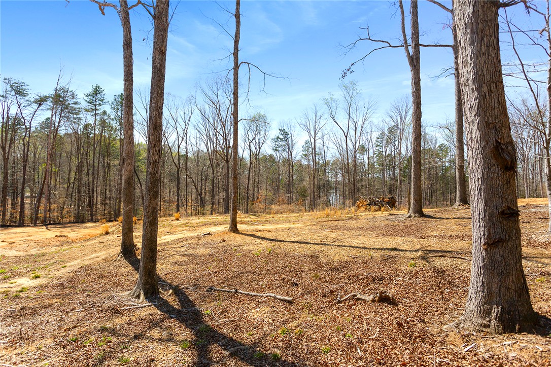 605 Elizabeth (lot 2) Road Westminster, SC 29693 - Photo 5 of 12