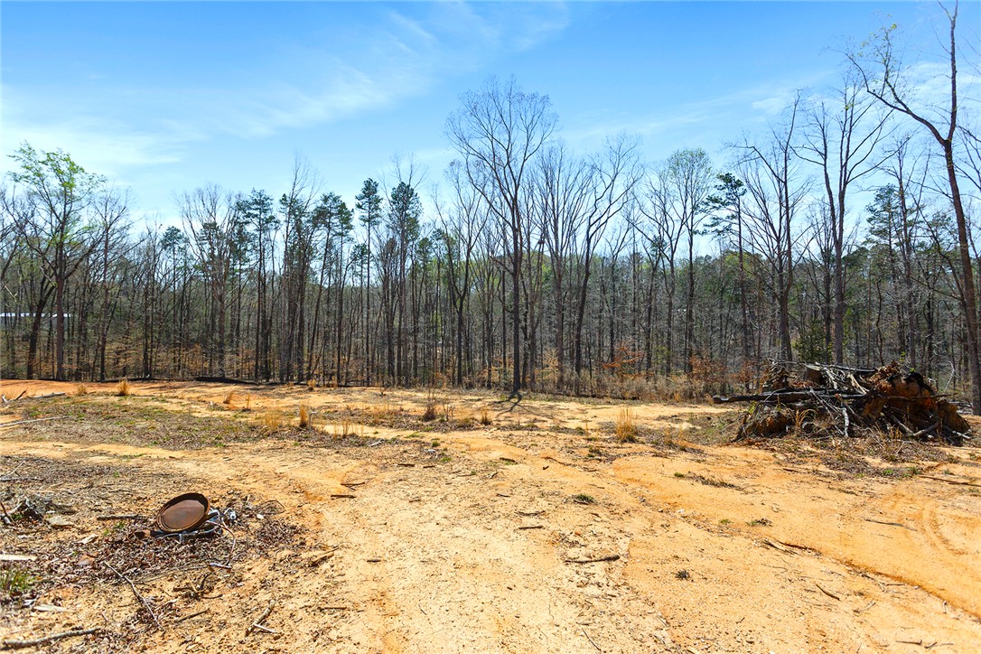 605 Elizabeth (lot 2) Road Westminster, SC 29693 - Photo 6 of 12