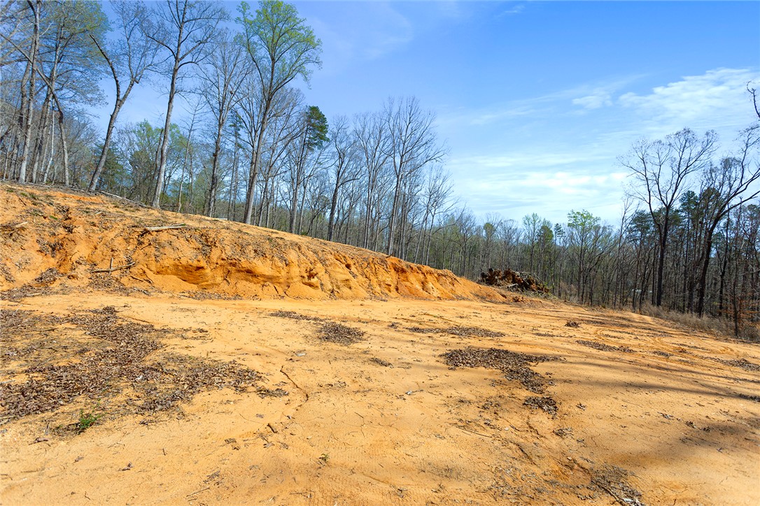 605 Elizabeth (lot 2) Road Westminster, SC 29693 - Photo 8 of 12