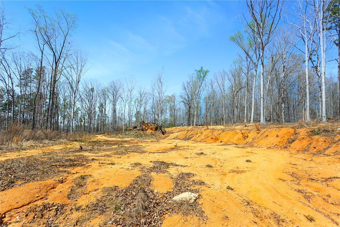 605 Elizabeth (lot 2) Road Westminster, SC 29693 - Photo 9 of 12