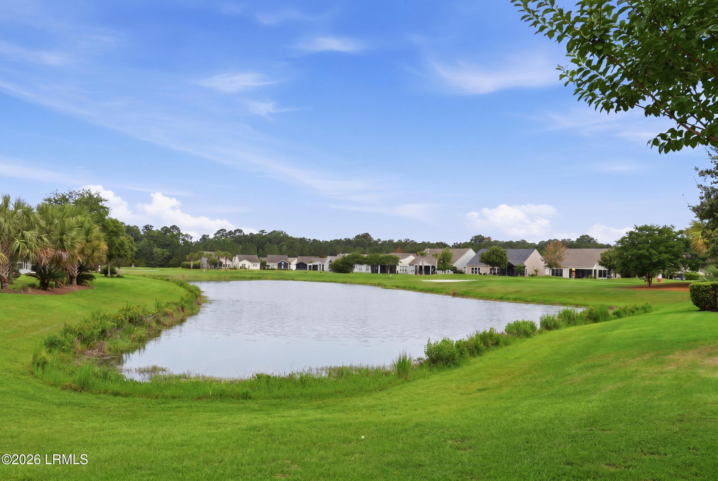 361 Fernleaf Lane Bluffton, SC 29909 - Photo 32 of 47 46_034_3k2a2699_grass_06b585cb