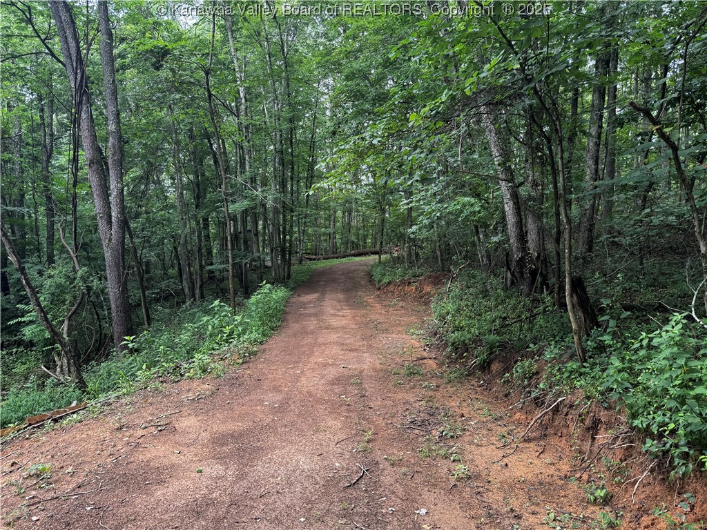 39 Fox Chase Road Alum Creek, WV 25003 - Photo 20 of 24 Gallery Image 20
