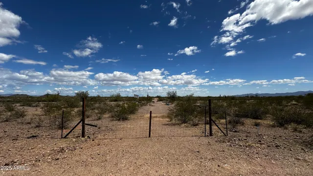 a view of a yard with lots of green space and mountain view