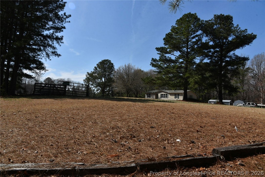780 Old River Road Carthage, NC 28327 - Photo 21 of 28 a view of outdoor space with trees