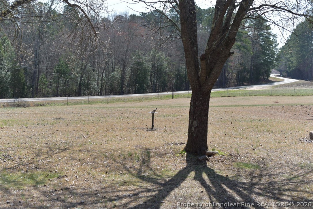780 Old River Road Carthage, NC 28327 - Photo 28 of 28 a view of a yard with trees