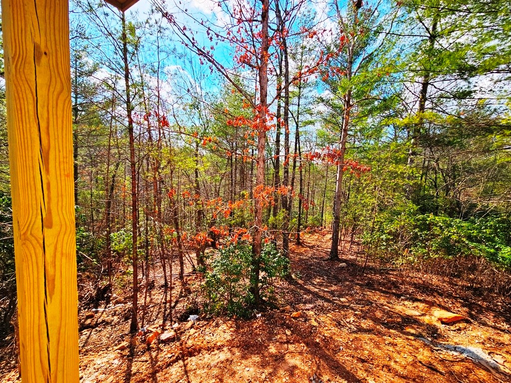 55 Ridgeline Road Murphy, NC 28906 - Photo 15 of 42 Master walk-in closet