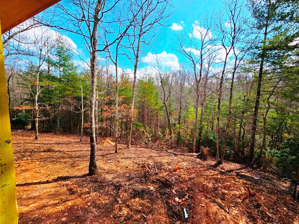 55 Ridgeline Road Murphy, NC 28906 - Photo 21 of 42