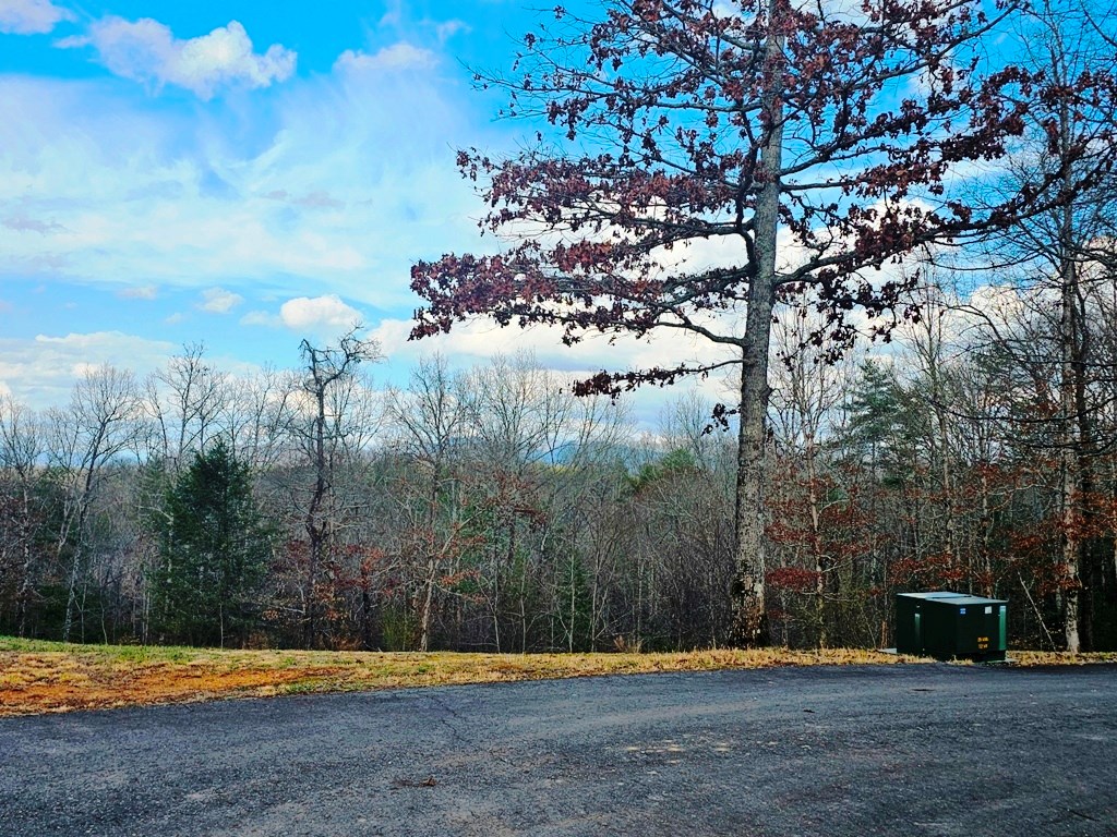 55 Ridgeline Road Murphy, NC 28906 - Photo 22 of 42 Hallway closet