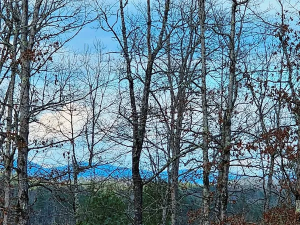 $445,000 | 55 Ridgeline Road, Murphy, NC 28906