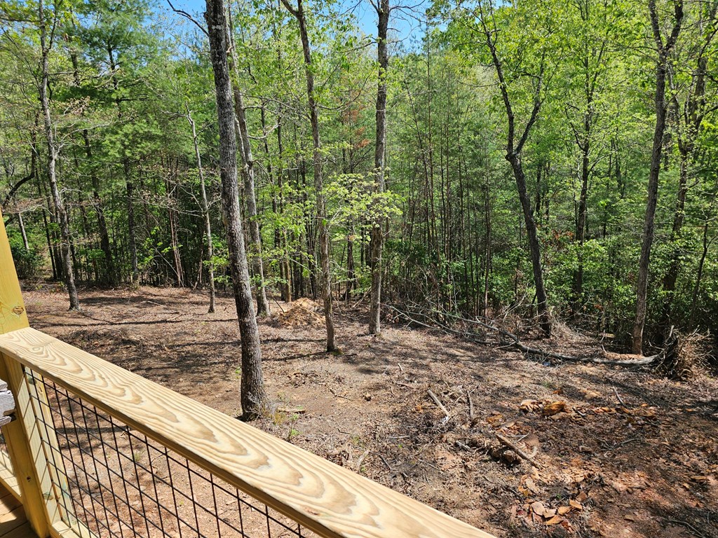 55 Ridgeline Road Murphy, NC 28906 - Photo 38 of 42 Common area by the river