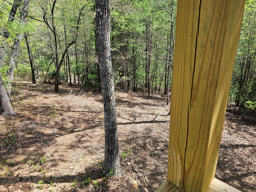 55 Ridgeline Road Murphy, NC 28906 - Photo 40 of 42