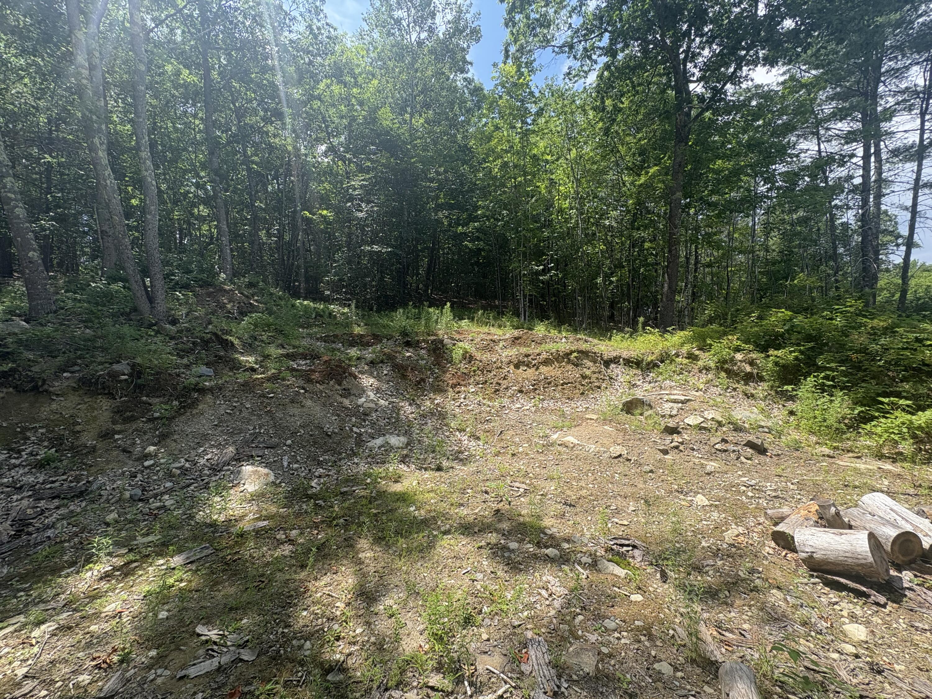 248 Langdon Road Richmond, ME 04357 - Photo 6 of 7 IMG_7050