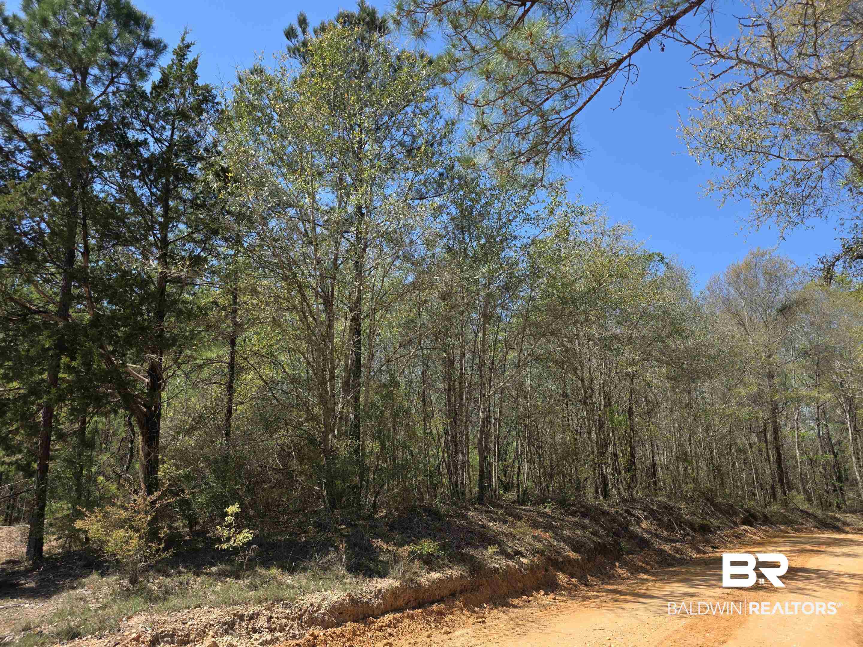 11 Coal Fire Road Jackson, AL 36545 - Photo 11 of 23 View of woods
