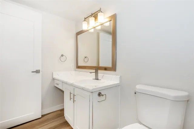 a bathroom with a sink a toilet and mirror