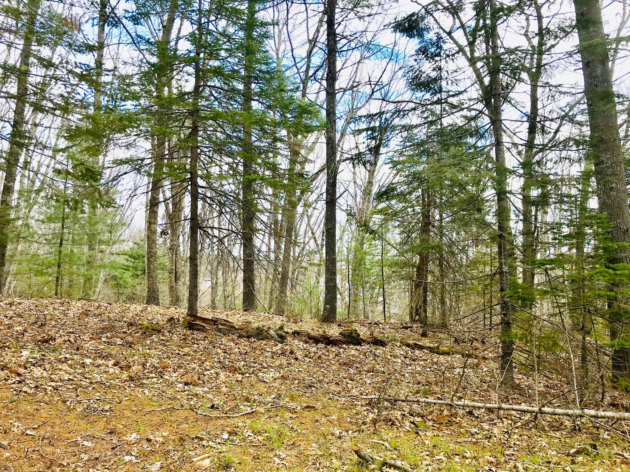 379 Bagaduce Road Brooksville, ME 04617 - Photo 16 of 18 16-379 Bagaduce Road, #