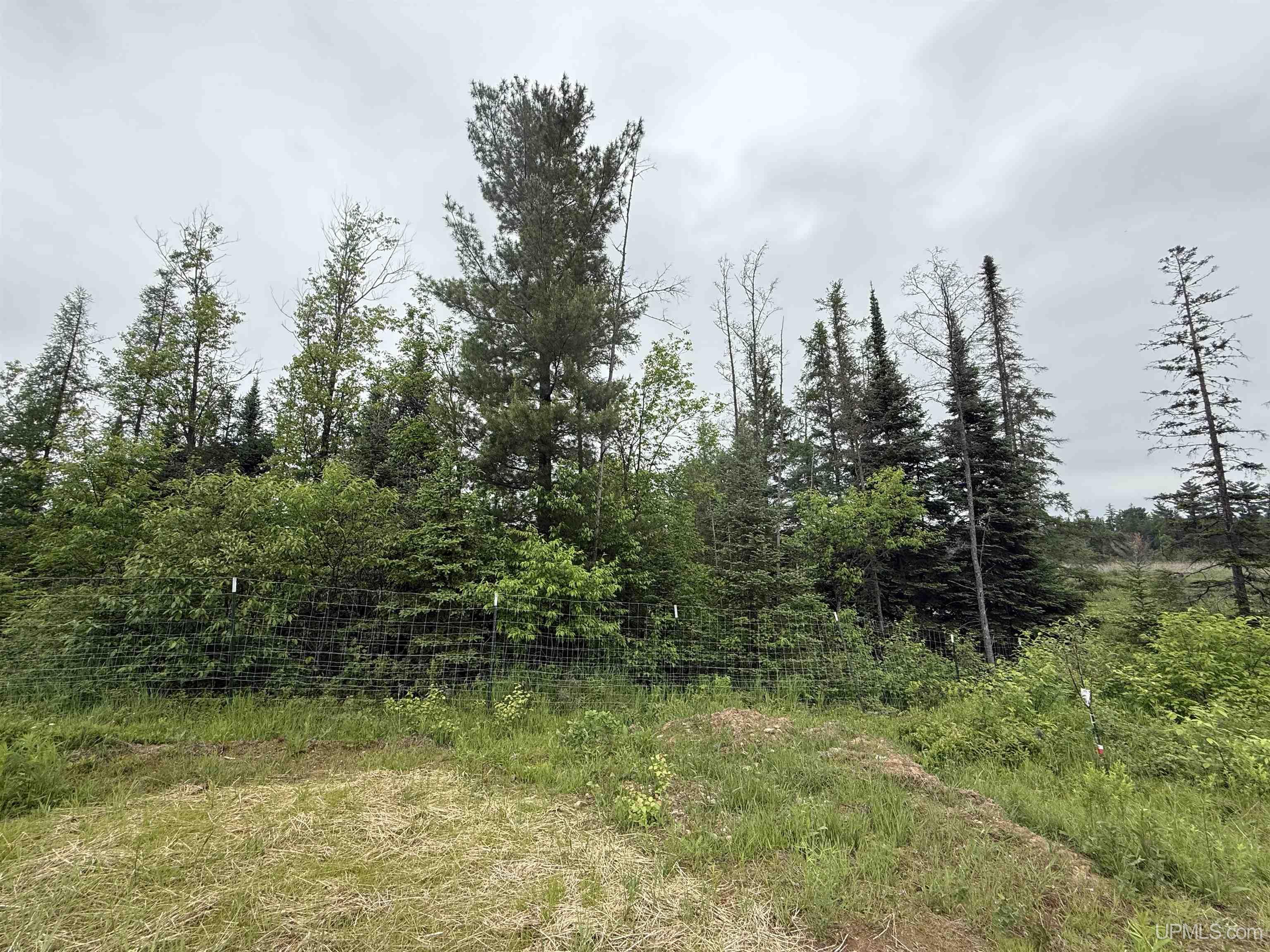 9535 Walstroms Road Republic, MI 49879 - Photo 19 of 37