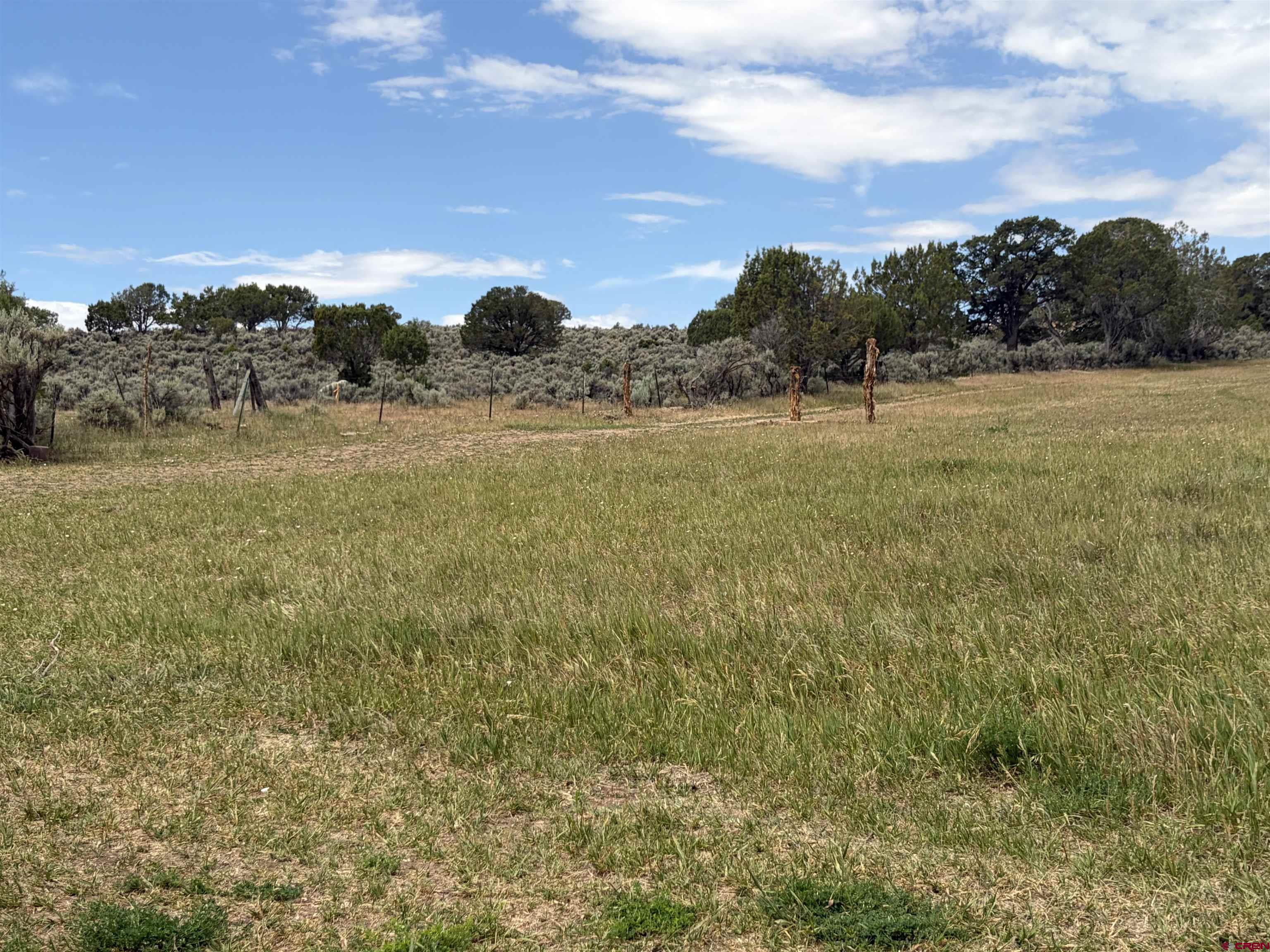 Tbd Cactus Park Road Cedaredge, CO 81413 - Photo 10 of 12