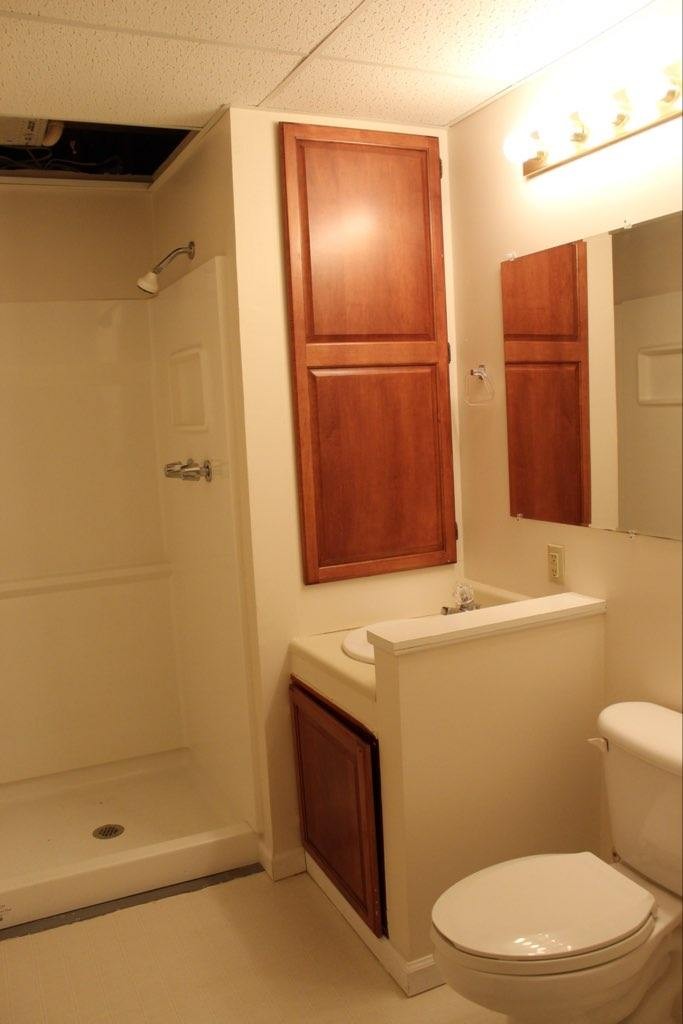 803 Red Hollow Drive Springfield, TN 37172 - Photo 8 of 9 a bathroom with a sink a toilet and shower