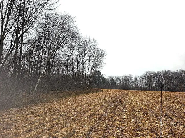 $679,500 | 1141 12th Avenue, Barron, WI 54812