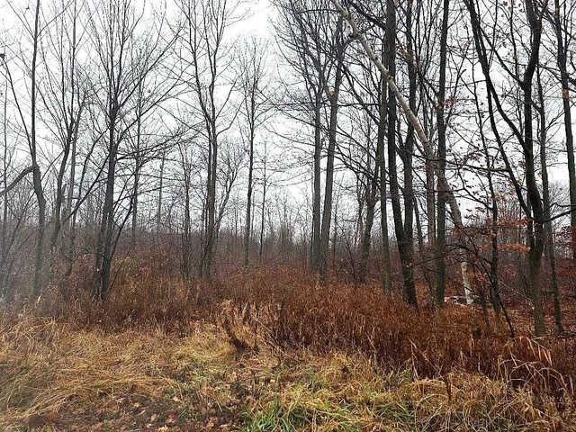 $679,500 | 1141 12th Avenue, Barron, WI 54812