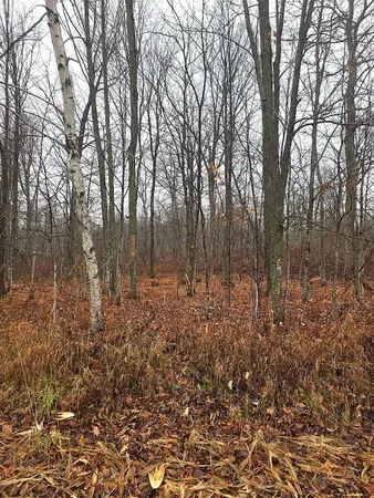 $679,500 | 1141 12th Avenue, Barron, WI 54812