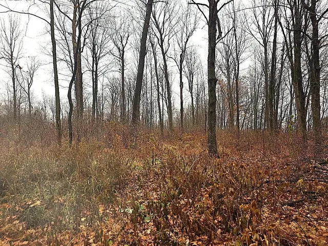 $679,500 | 1141 12th Avenue, Barron, WI 54812