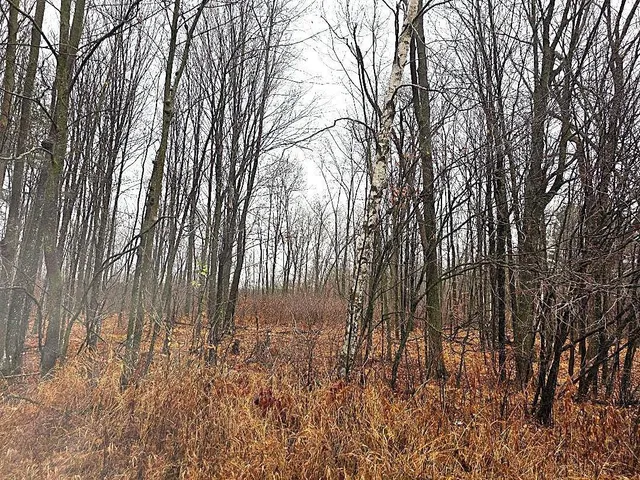 $679,500 | 1141 12th Avenue, Barron, WI 54812