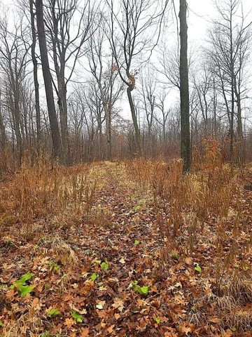 $679,500 | 1141 12th Avenue, Barron, WI 54812