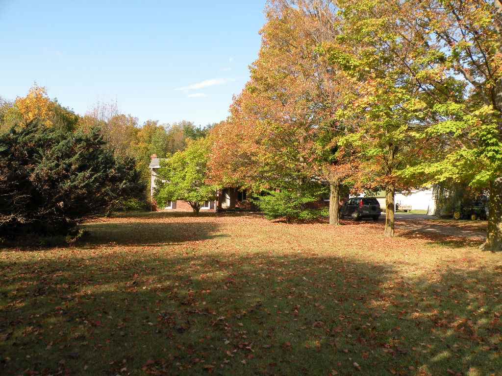 118 Fenner Road Ovid, MI 48866 - Photo 3 of 4 Beautiful Front Yard