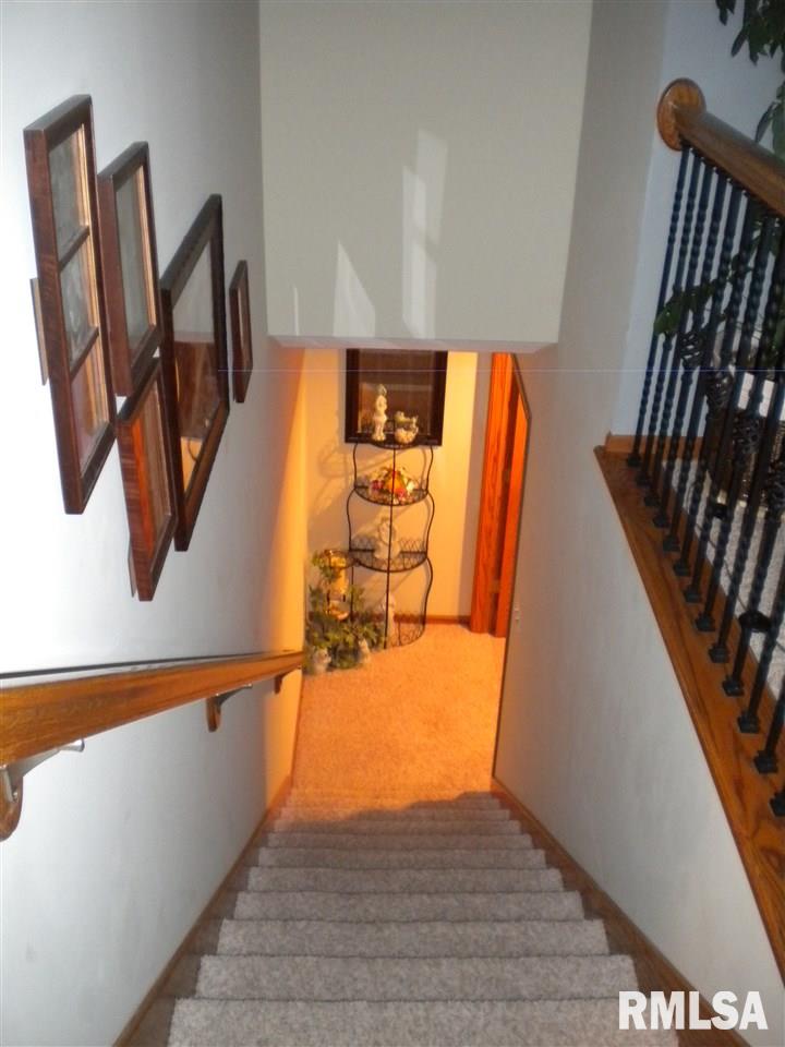 1111 Crestview Drive Durant, IA 52747 - Photo 15 of 22