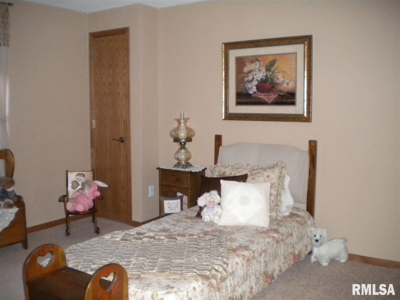 1111 Crestview Drive Durant, IA 52747 - Photo 18 of 22