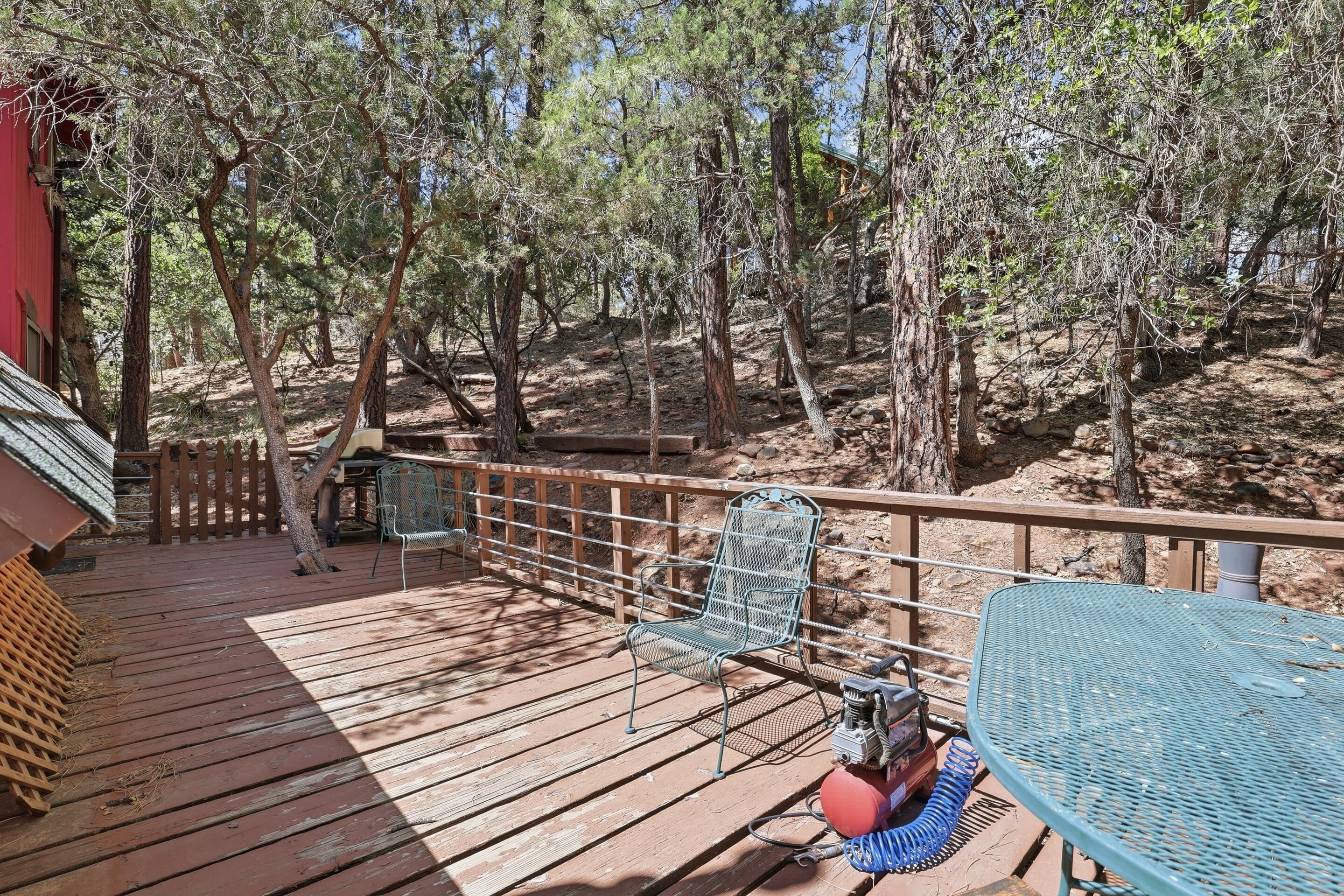 3949 Apache Trail Pine, AZ 85544 - Photo 30 of 38