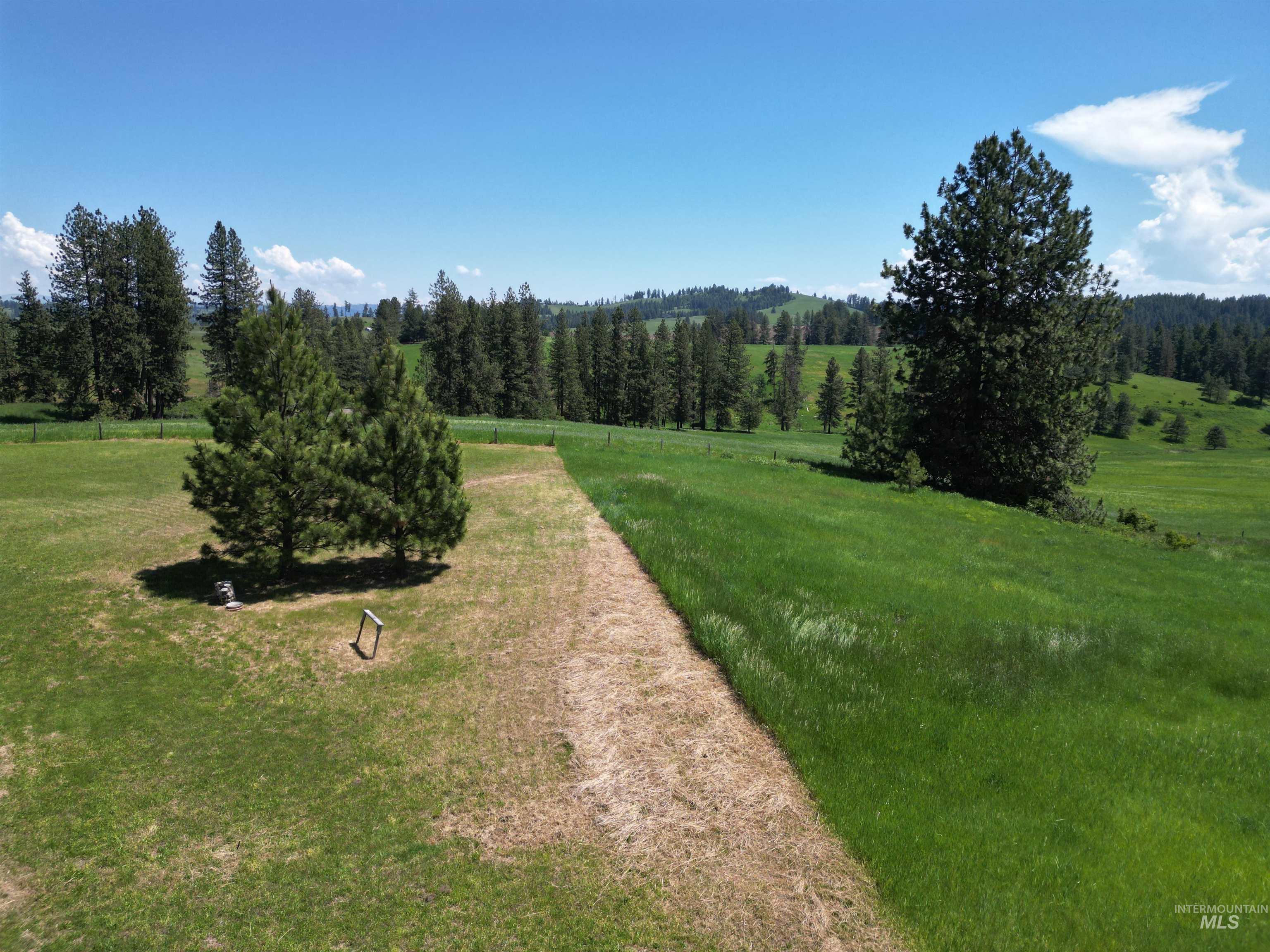 135 Harrisburg Road Kamiah, ID 83536 - Photo 31 of 41 Expansive green landscape featuring mature evergreen trees and distant rolling hills