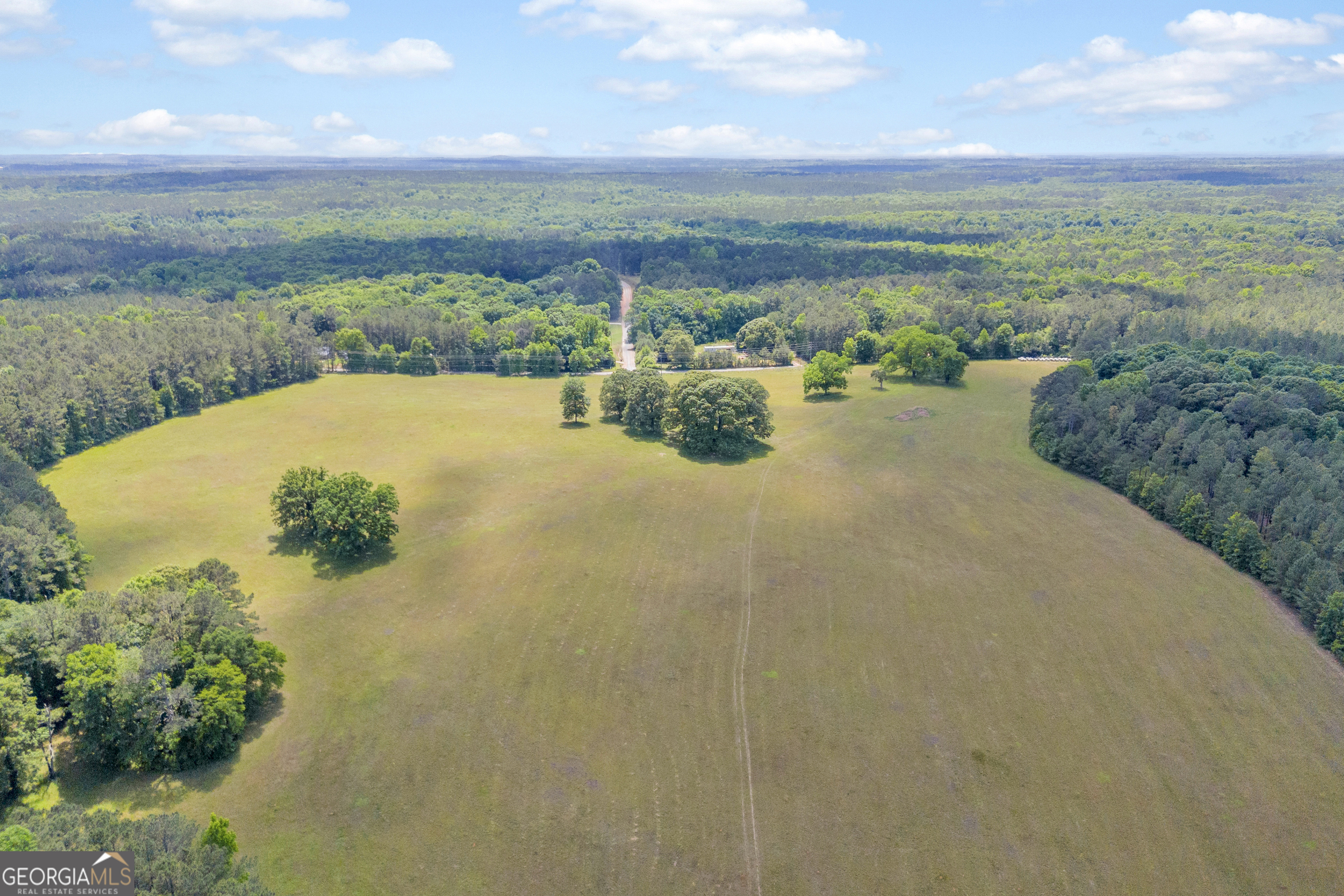 0 Pitts Chapel Road Monticello, GA 31064 - Photo 10 of 22