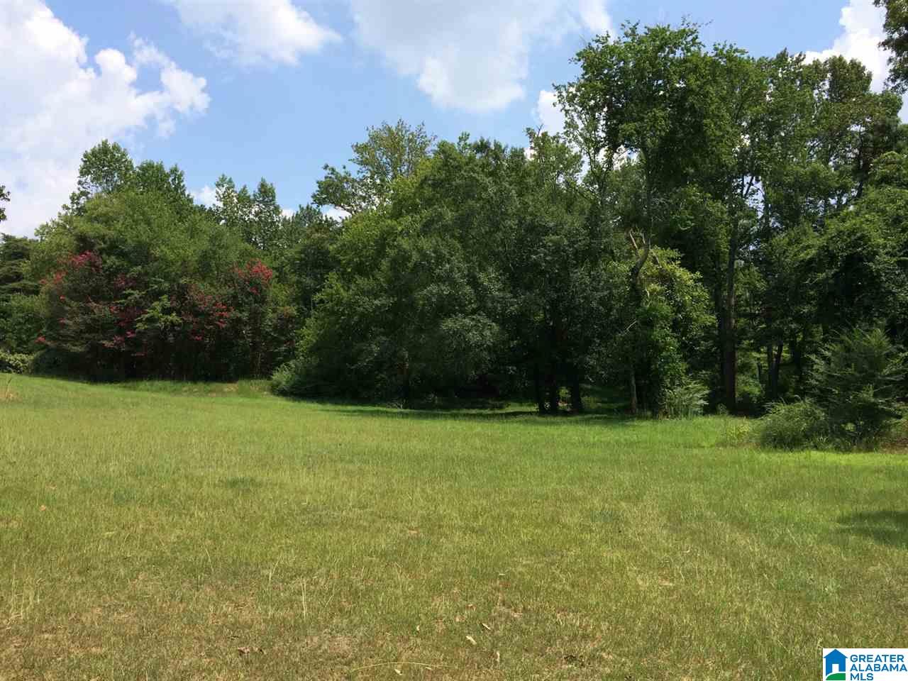 720 Mountain Ridge Road Oneonta, AL 35121 - Photo 6 of 47