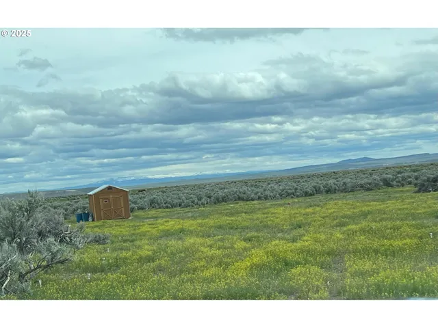 a view of beach and ocean