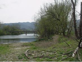Y Bill Mauk Road, Unit Y Chuckey, TN 37641 - Photo 3 of 7 Photo 3