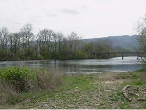 Y Bill Mauk Road, Unit Y Chuckey, TN 37641 - Photo 4 of 7 Photo 4