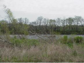 Y Bill Mauk Road, Unit Y Chuckey, TN 37641 - Photo 5 of 7 Photo 5