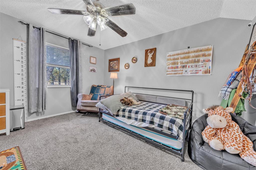 218 Private Road 3638 Springtown, TX 76082 - Photo 21 of 33