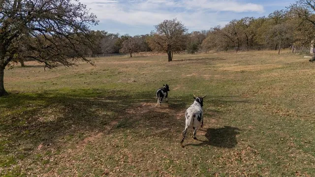 $430,000 | 218 Private Road 3638, Springtown, TX 76082