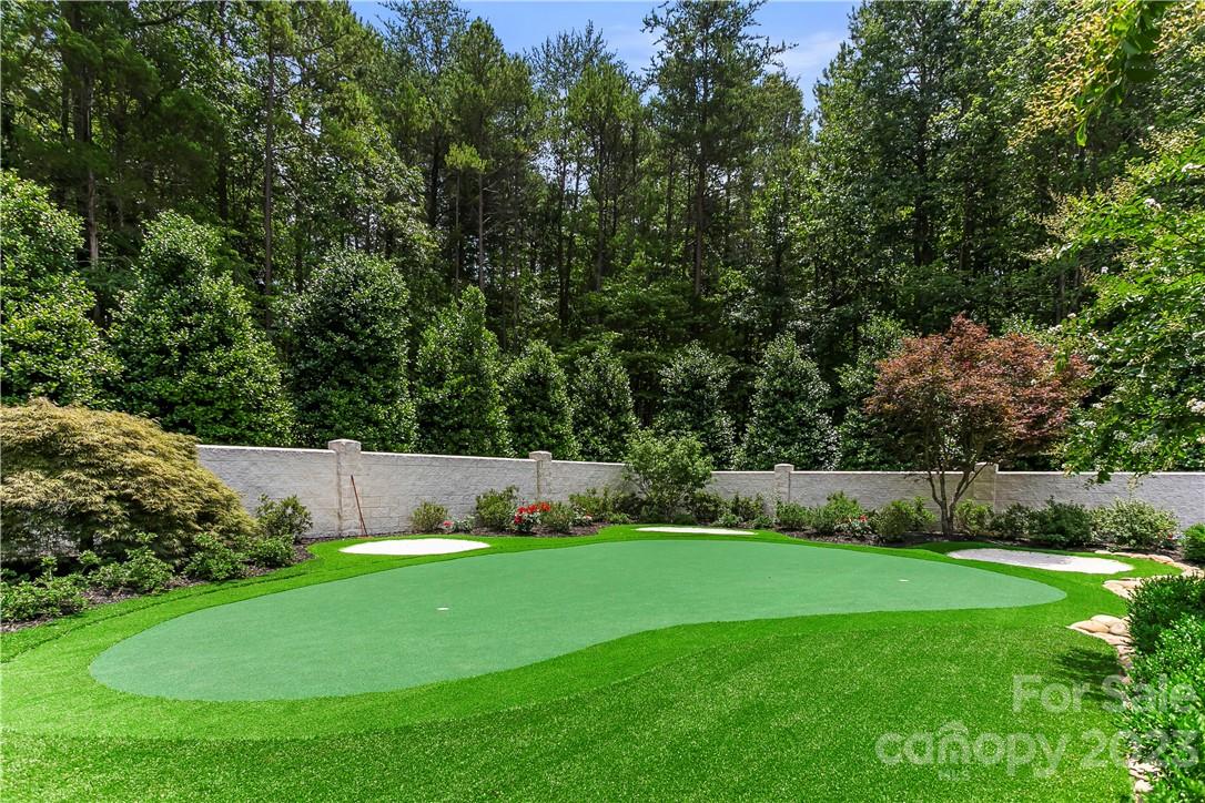 8371 Providence Road Charlotte, NC 28277 - Photo 16 of 48 a view of yard with green space