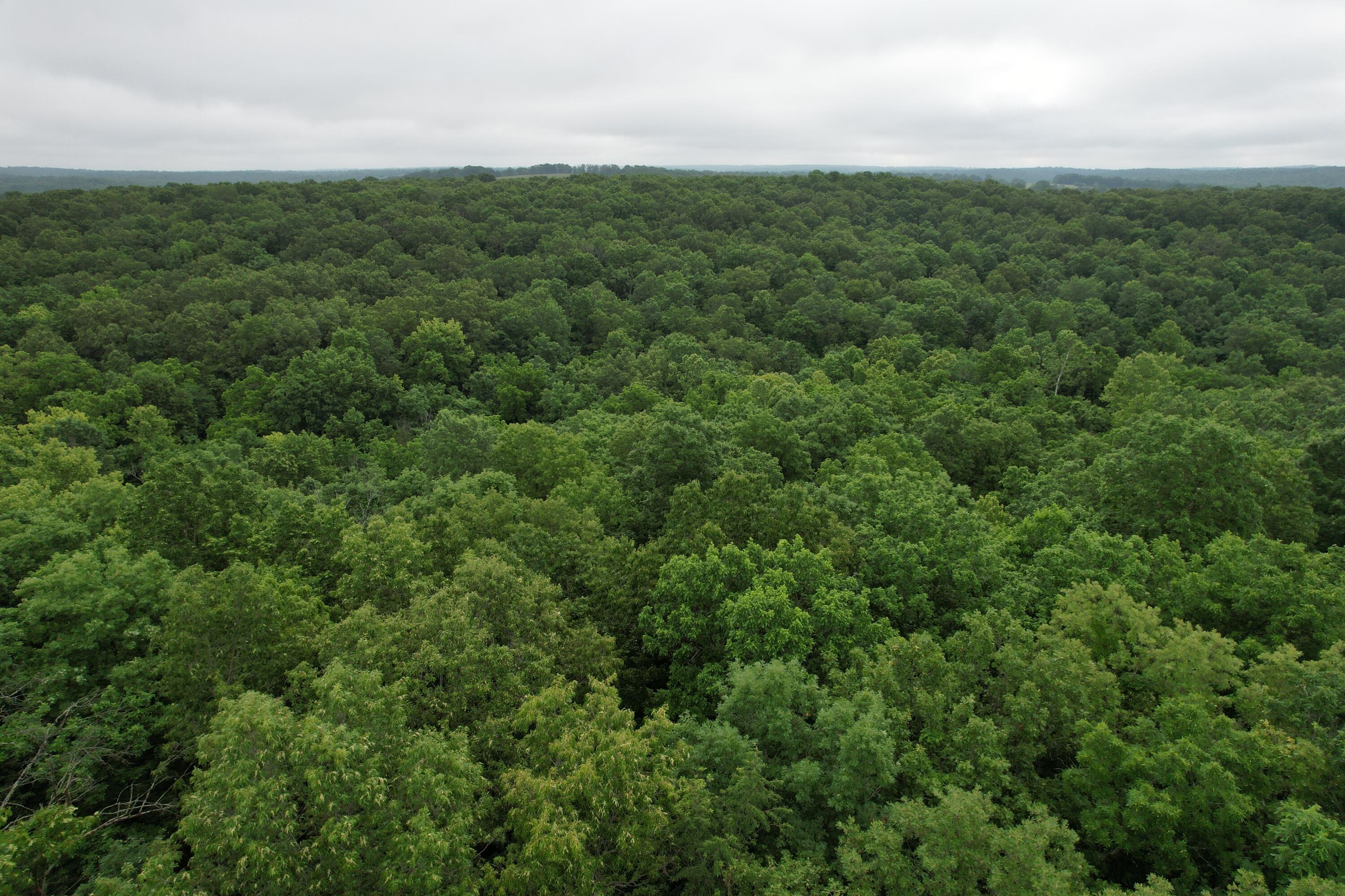 0 State Rte YY Caulfield, MO 65626 - Photo 18 of 21 DJI_0761
