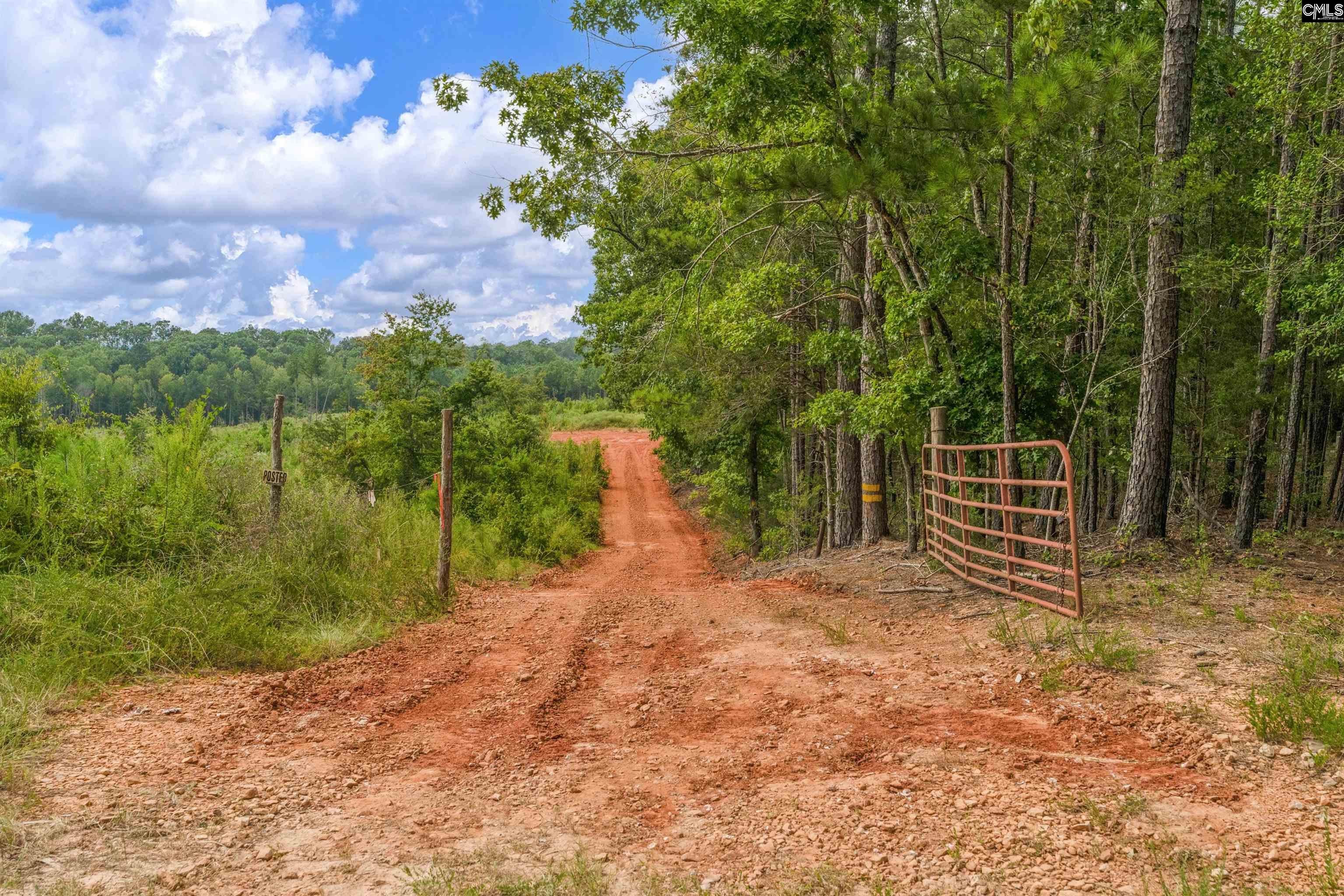 0 Penner Road, Unit 7 Jenkinsville, SC 29065 - Photo 15 of 32 Gallery Image 15