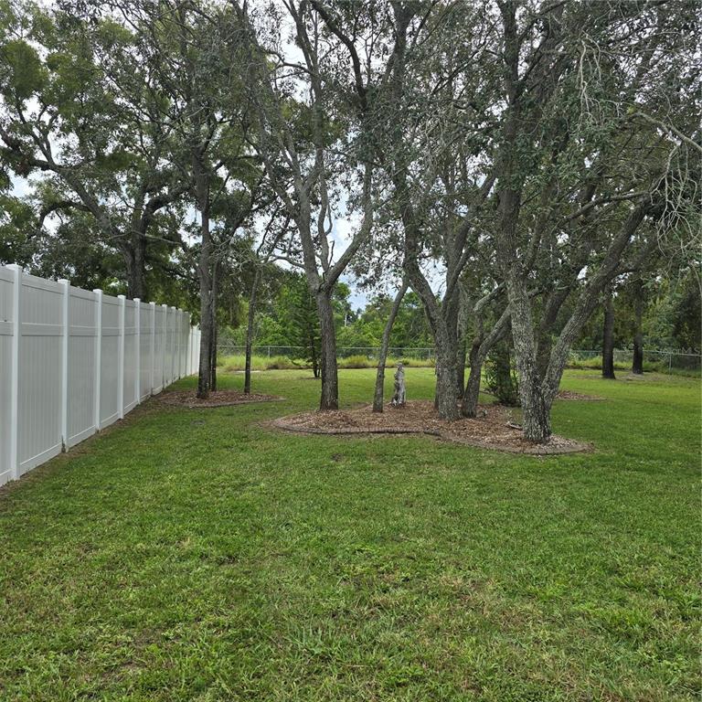 7280 Pinehurst Drive Spring Hill, FL 34606 - Photo 19 of 26 a view of a yard with a large tree