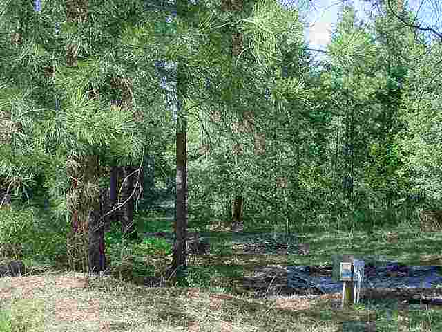 4071 Pine View Way Springdale, WA 99173 - Photo 5 of 6