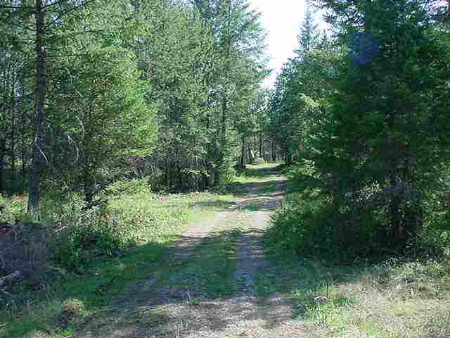 4071 Pine View Way Springdale, WA 99173 - Photo 6 of 6