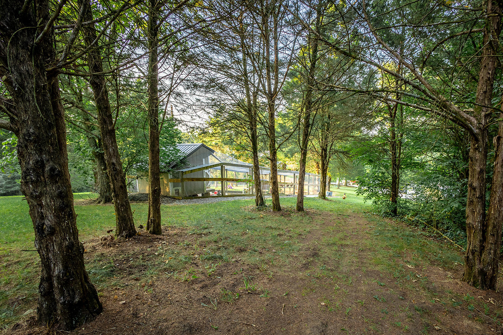 280 Ben Currens Road Salvisa, KY 40372 - Photo 46 of 46 1200 Bens Currens Rd - Interiors and Ext